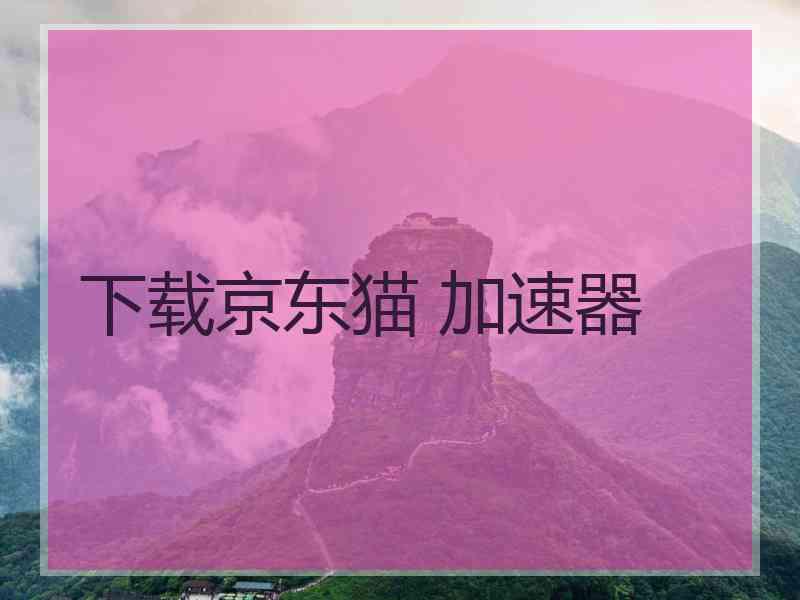 下载京东猫 加速器