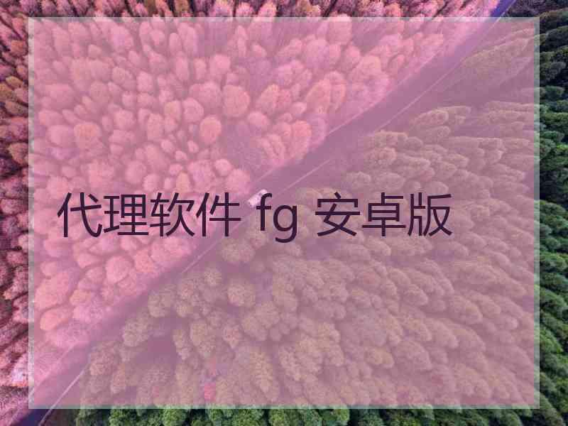 代理软件 fg 安卓版