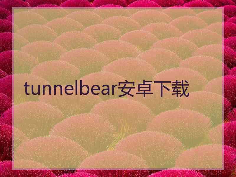 tunnelbear安卓下载