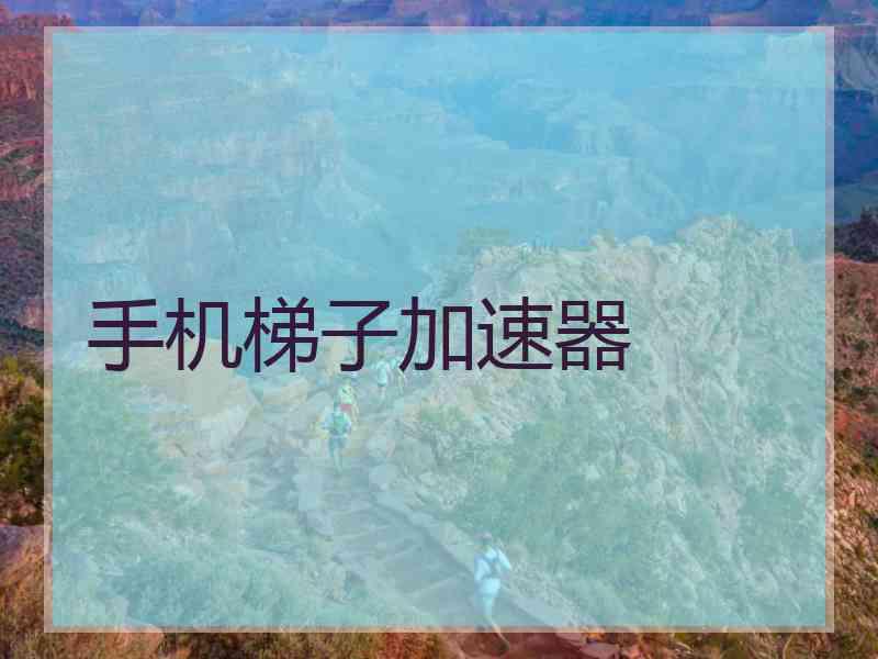 手机梯子加速器