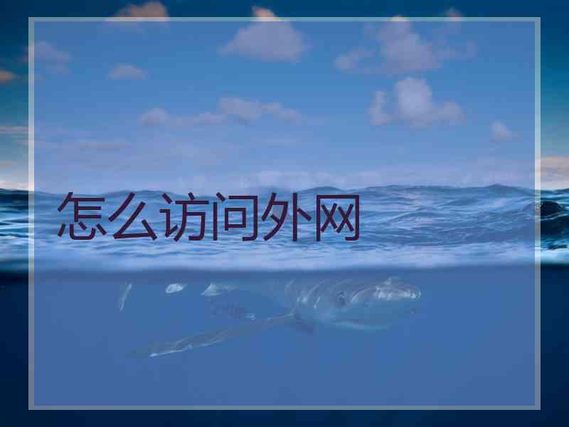 怎么访问外网