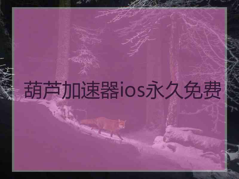 葫芦加速器ios永久免费