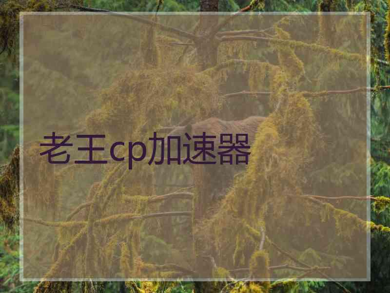 老王cp加速器