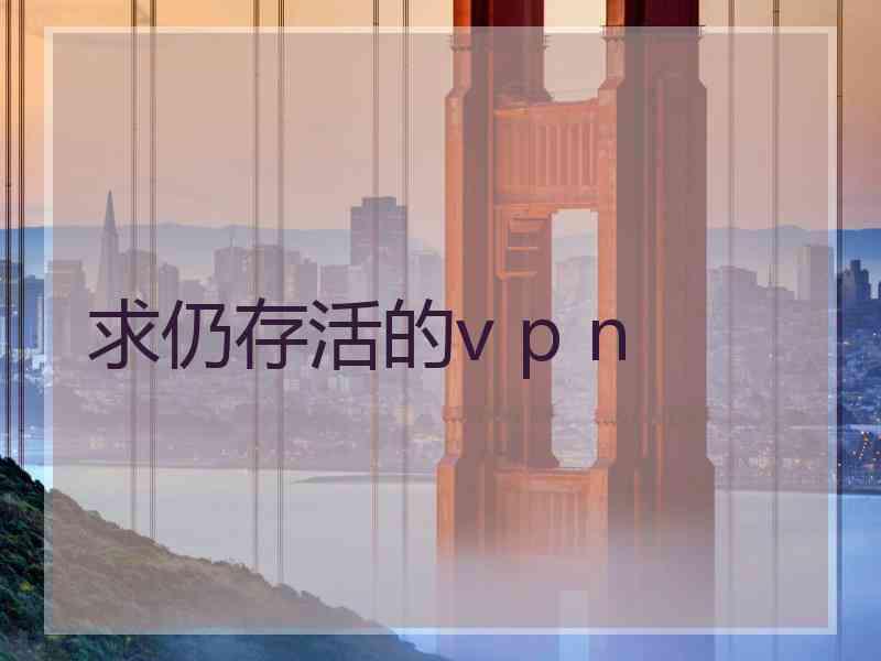 求仍存活的v p n
