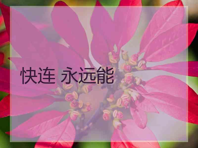 快连 永远能