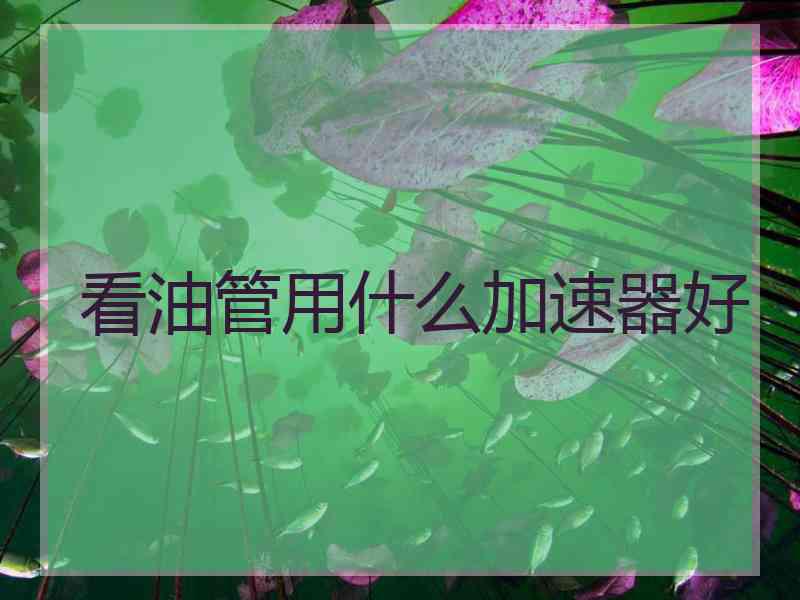 看油管用什么加速器好