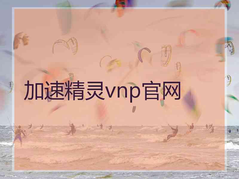加速精灵vnp官网
