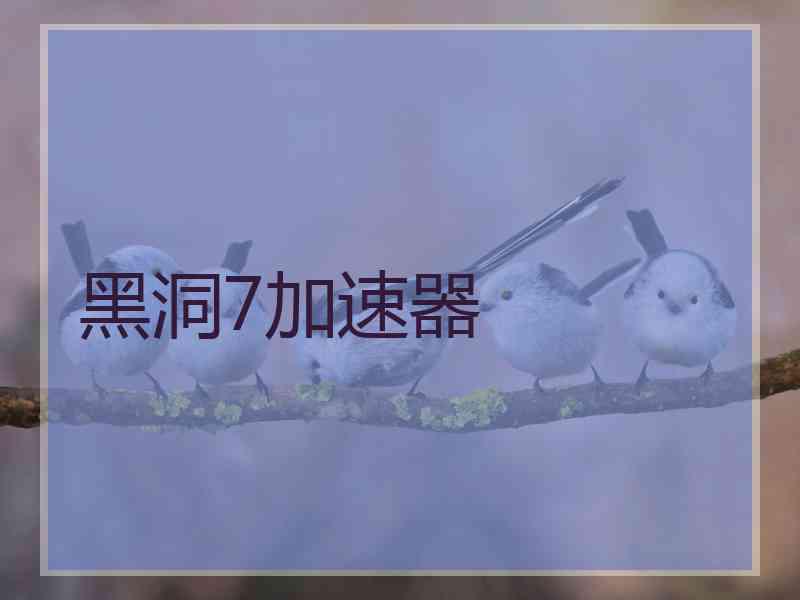黑洞7加速器