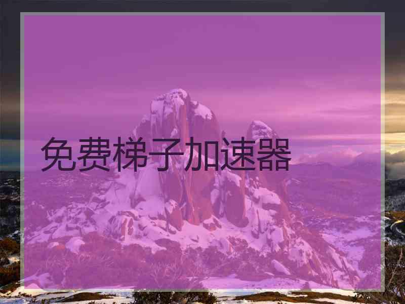 免费梯子加速器