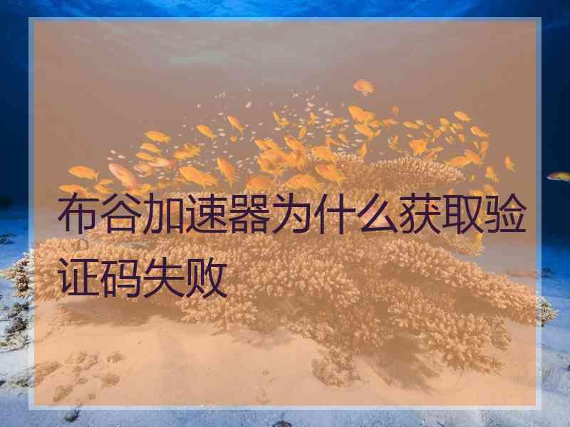 布谷加速器为什么获取验证码失败