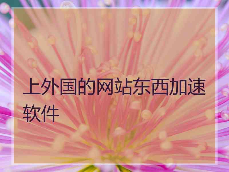 上外国的网站东西加速软件