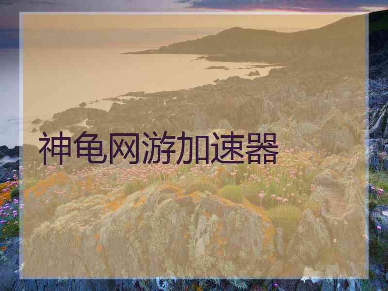 神龟网游加速器