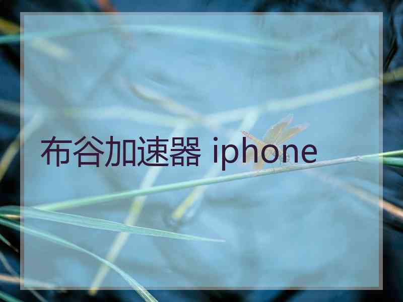 布谷加速器 iphone
