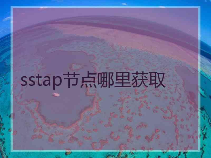 sstap节点哪里获取