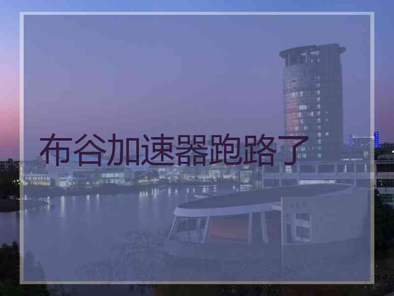 布谷加速器跑路了