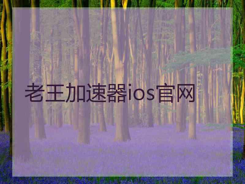 老王加速器ios官网
