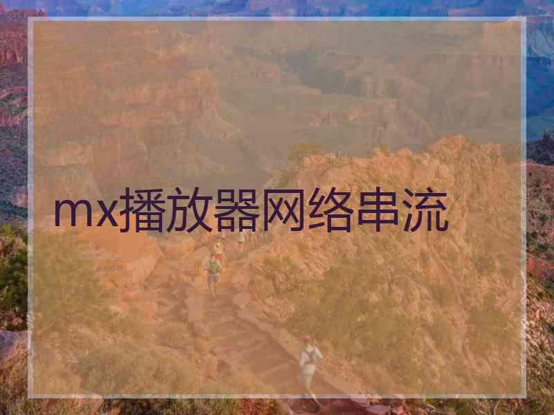 mx播放器网络串流