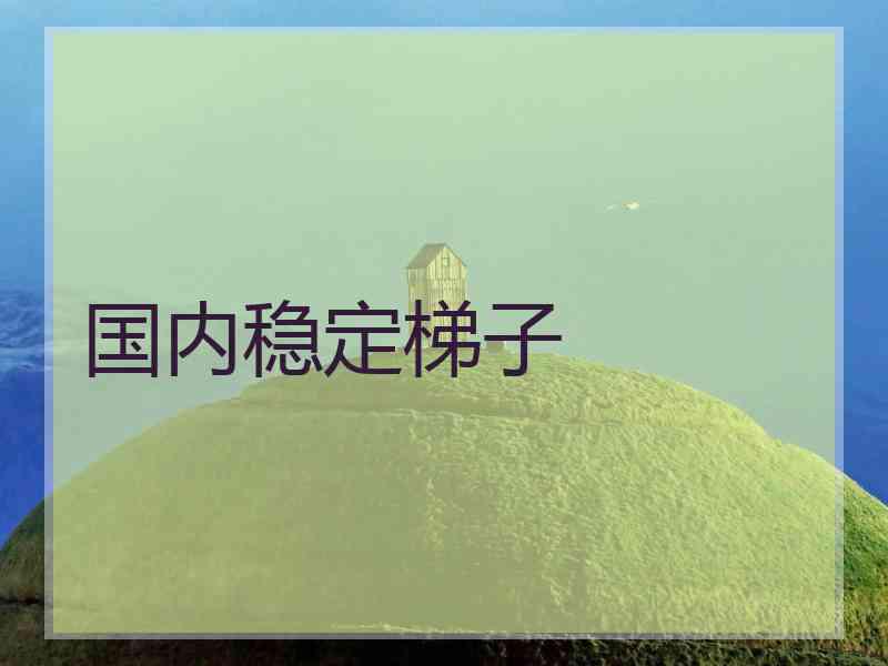 国内稳定梯子