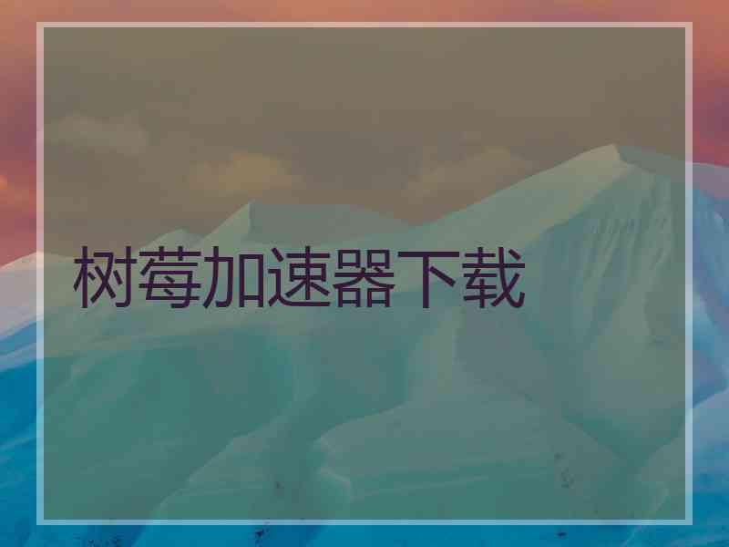 树莓加速器下载