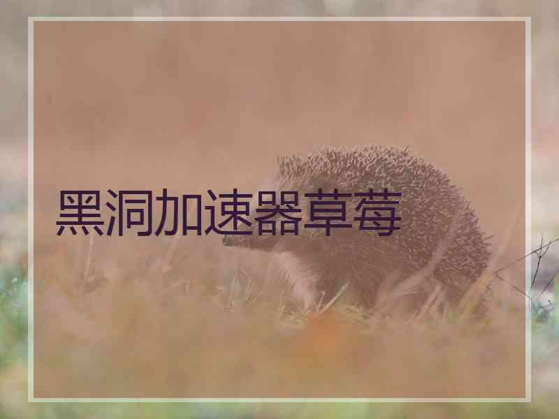 黑洞加速器草莓