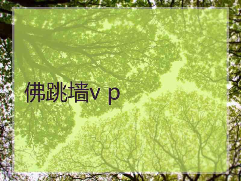 佛跳墙v p