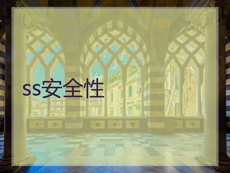 ss安全性