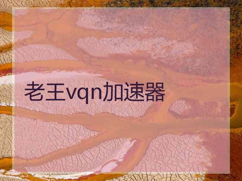 老王vqn加速器