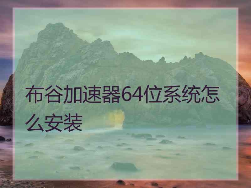 布谷加速器64位系统怎么安装