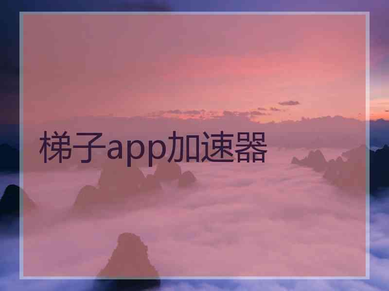 梯子app加速器
