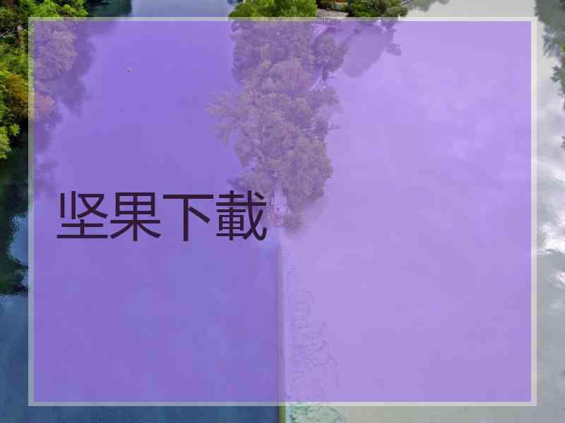 坚果下載