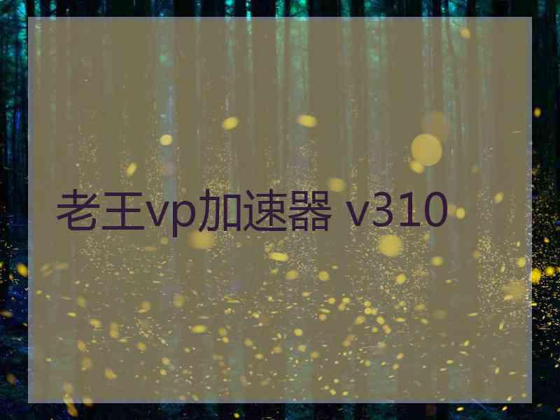 老王vp加速器 v310