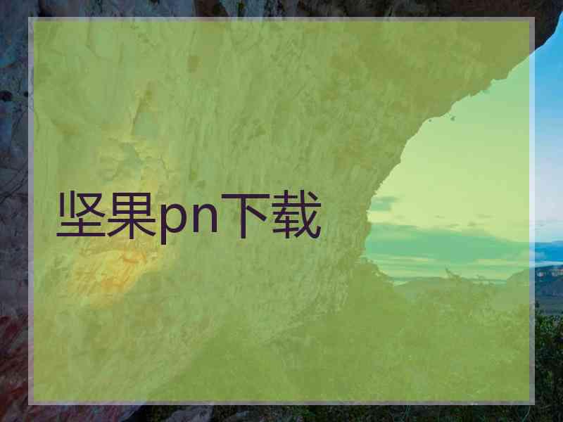 坚果pn下载