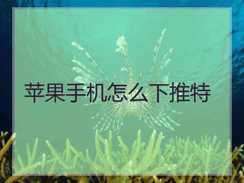 苹果手机怎么下推特