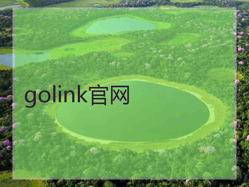 golink官网