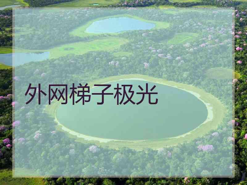 外网梯子极光