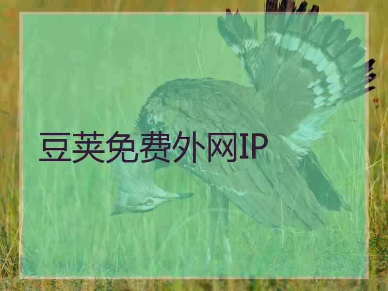 豆荚免费外网IP