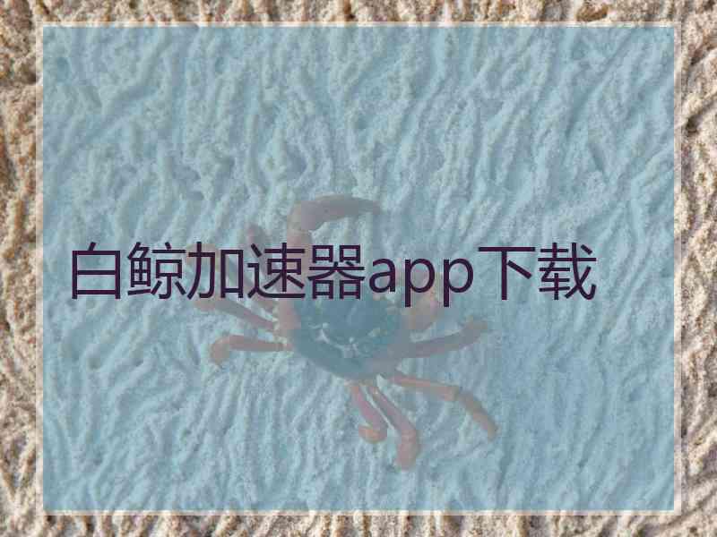 白鲸加速器app下载