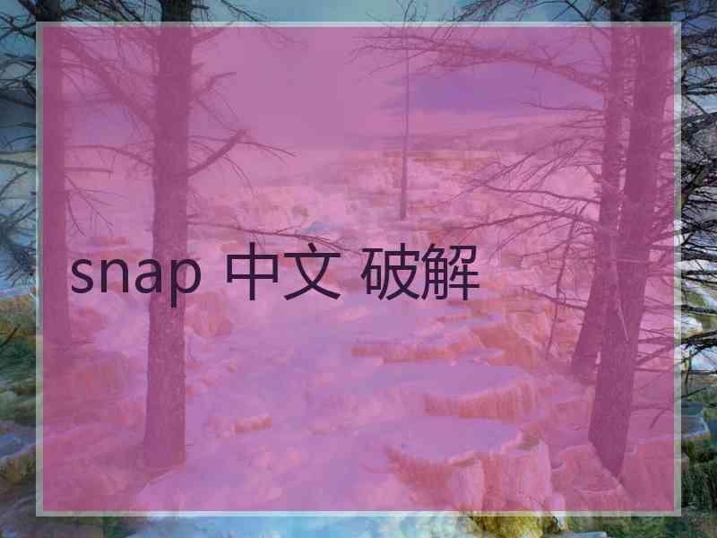 snap 中文 破解