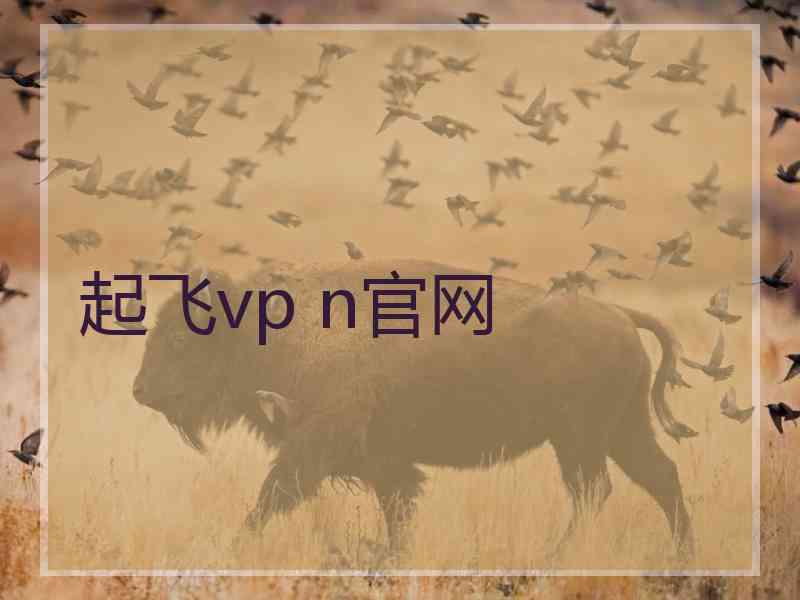 起飞vp n官网