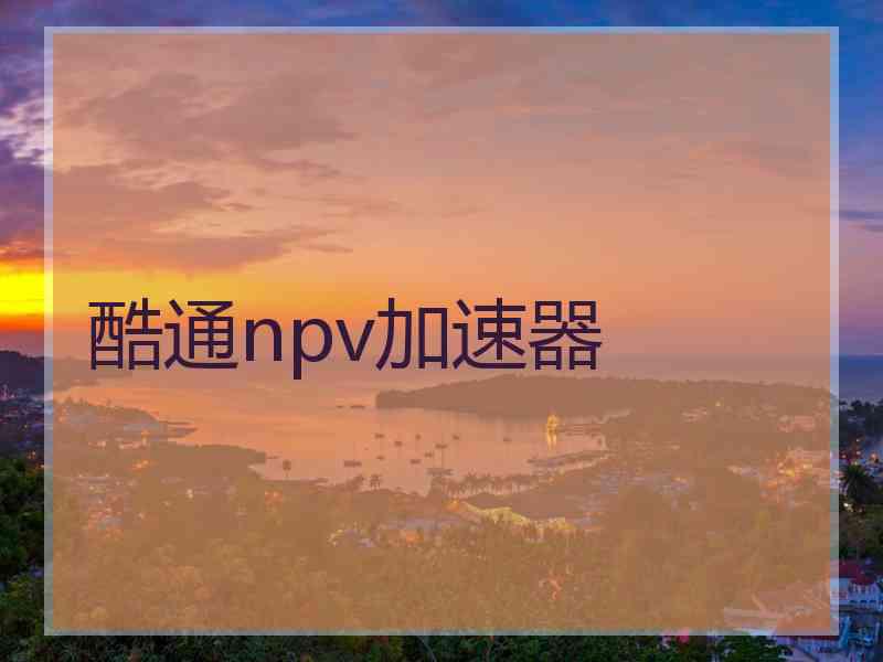 酷通npv加速器