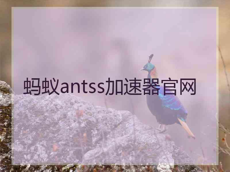 蚂蚁antss加速器官网