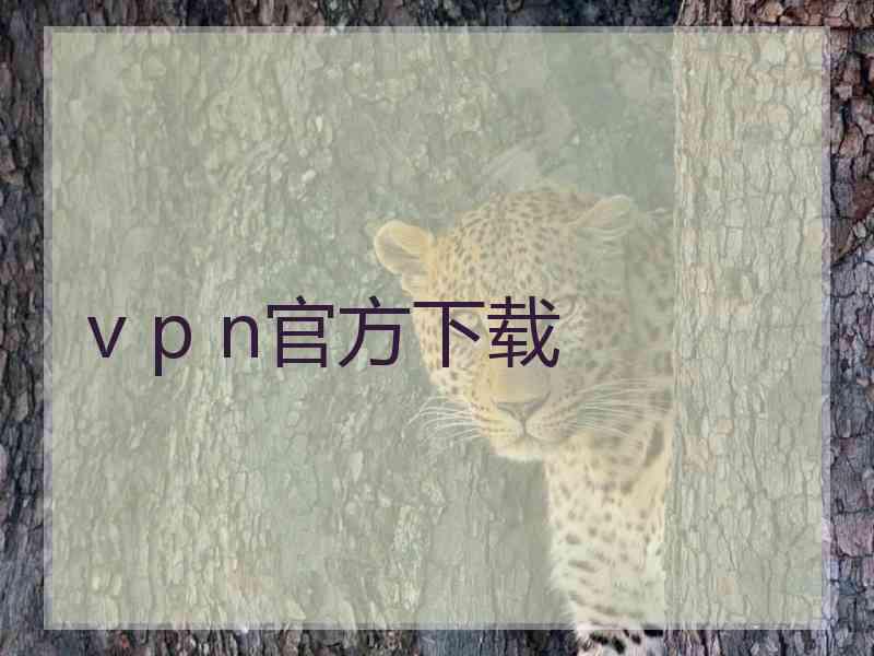 v p n官方下载