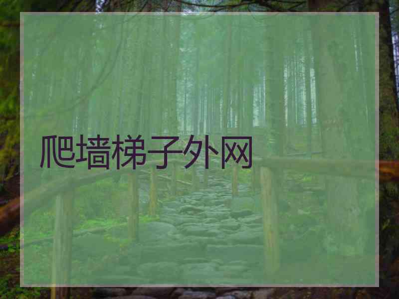爬墙梯子外网