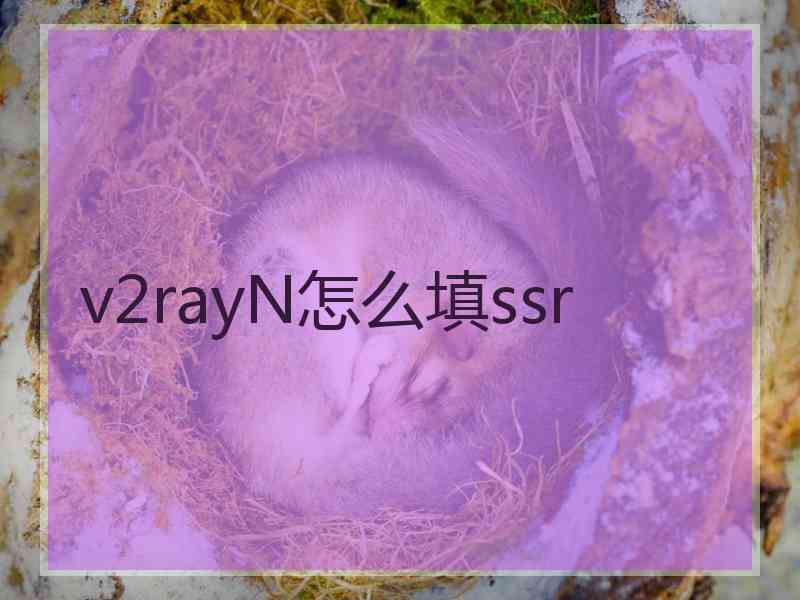 v2rayN怎么填ssr