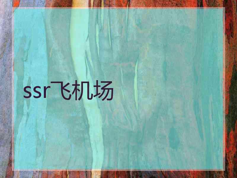 ssr飞机场