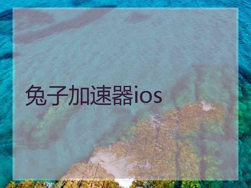 兔子加速器ios