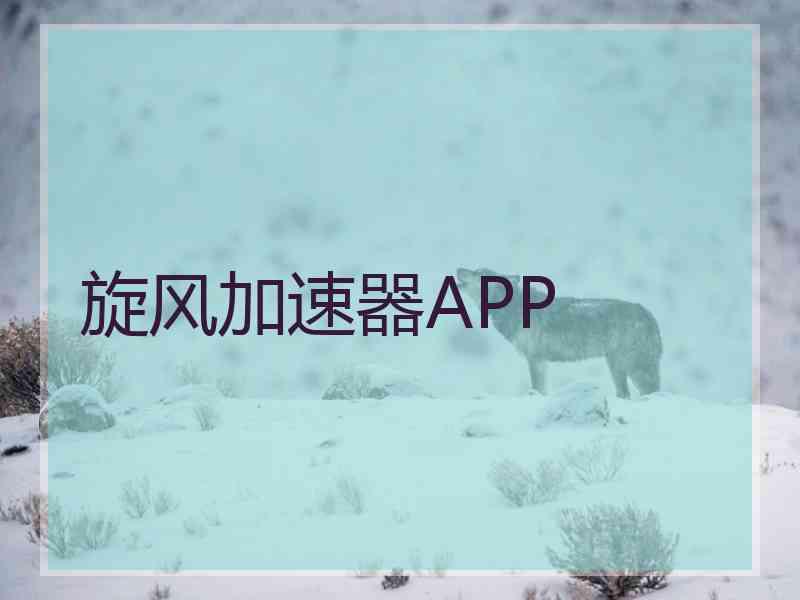 旋风加速器APP