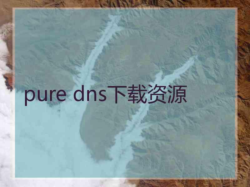 pure dns下载资源