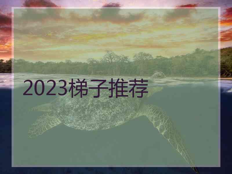 2023梯子推荐