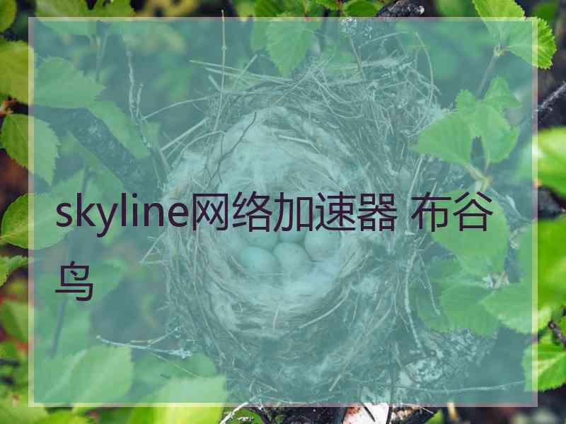 skyline网络加速器 布谷鸟
